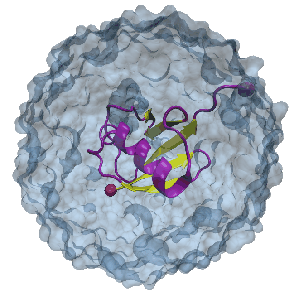 \begin{figure}\begin{center}
\latex{
\includegraphics[height=2.6in]{pictures/tut0_ubiquitin_new}
}
\end{center}\end{figure}