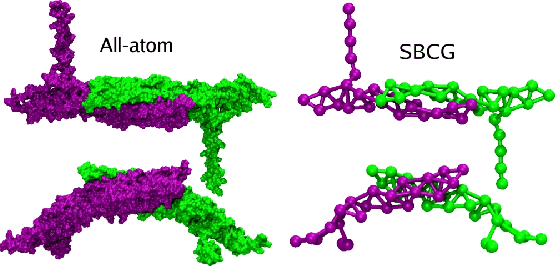 \begin{figure}\begin{center}
\includegraphics[width=\linewidth]{figs/monomer-dimer}
\end{center}
\end{figure}