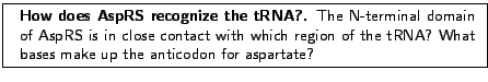 \fbox{
\begin{minipage}{.2\textwidth}
\includegraphics[width=2.3 cm, height=2....
...f the tRNA?
What bases make up the anticodon for aspartate? }
\end{minipage} }