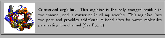 % latex2html id marker 1487
\fbox{
\begin{minipage}{.2\textwidth}
\includegra...
...les permeating the channel
(See~Fig.~\ref{fig:reparginine}).}
\end{minipage} }