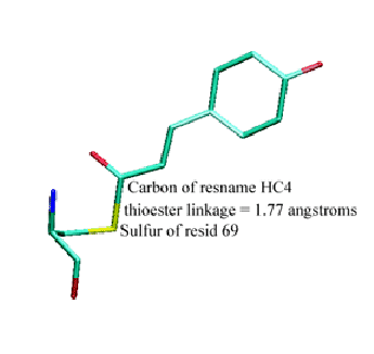 \includegraphics[width=3.0in]{FIGS/thio}