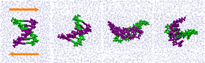 \begin{figure}\begin{center}
\par
\par
\latex{
\includegraphics[scale=0.85]{pictures/shear1all}
}
\end{center}
\end{figure}