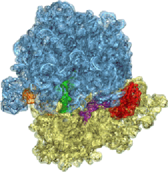 \begin{figure}\centerline{\includegraphics[width=0.6\textwidth]{FIGS/ribosome-cover}}
\end{figure}
