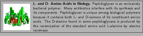 \fbox{
\begin{minipage}{.2\textwidth}
\includegraphics[width=2.3 cm, height=2....
...on of the standard amino acid L-alainine by alanine racemase.}
\end{minipage} }
