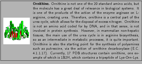 \fbox{
\begin{minipage}{.2\textwidth}
\includegraphics[width=2.3 cm, height=2....
...of which is 1B2H, which contains a tripeptide of Lys-Orn-Lys.}
\end{minipage} }