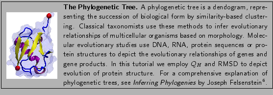 \fbox{
\begin{minipage}{.2\textwidth}
\includegraphics[width=2.3 cm]{FIGS/tut0...
...{Inferring Phylogenies}
by Joseph Felsenstein\footnotemark .}
\end{minipage} }