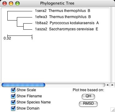 Image ptree2