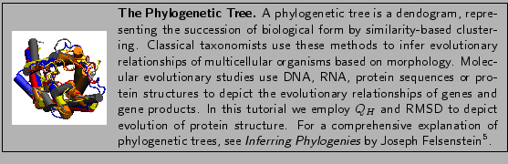 \fbox{
\begin{minipage}{.2\textwidth}
\includegraphics[width=2.3 cm, height=2....
...Inferring Phylogenies}
by Joseph Felsenstein\footnotemark . }
\end{minipage} }