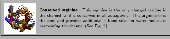 % latex2html id marker 1518
\fbox{
\begin{minipage}{.2\textwidth}
\includegra...
...les permeating the channel
(See~Fig.~\ref{fig:reparginine}).}
\end{minipage} }