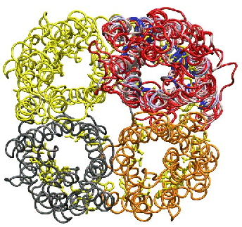 \begin{figure}\begin{center}
\par
\par
\latex{
\includegraphics[width=2.4 in]{pictures/tetramer-overlap}
}
\end{center}\vspace{-0.7cm}\end{figure}