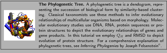 \fbox{
\begin{minipage}{.2\textwidth}
\includegraphics[width=2.3 cm, height=2....
...Inferring Phylogenies}
by Joseph Felsenstein\footnotemark . }
\end{minipage} }