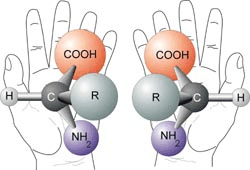 \begin{figure}\begin{center}
\par
\par
\latex{
\includegraphics[scale=0.5]{FIGS/chirality}
}
\end{center}
\end{figure}