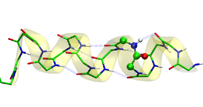 \begin{figure}\begin{center}
\par
\par
\latex{
\includegraphics[scale=0.4]{FIGS/peptide}
}
\end{center}
\end{figure}