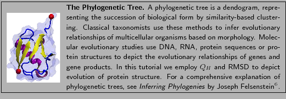 \fbox{
\begin{minipage}{.2\textwidth}
\includegraphics[width=2.3 cm]{FIGS/tut0...
...{Inferring Phylogenies}
by Joseph Felsenstein\footnotemark .}
\end{minipage} }