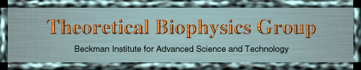 Theoretical Biophysics Group