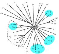 Evolution Tree