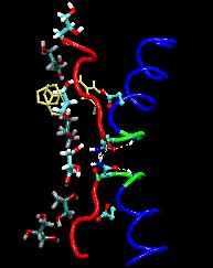 Conduction in Aquaporins