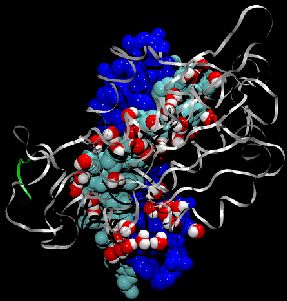 Protein-DNA Recognition