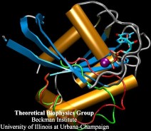 Ras signaling protein