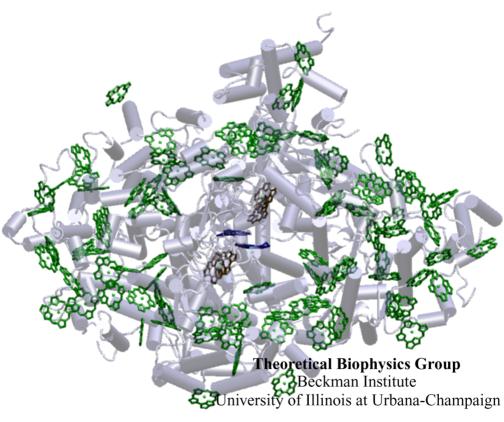 Photosystem I and its chlorophyll network