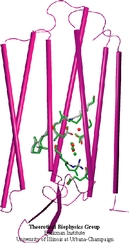 K and KL of bacteriorhodopsin