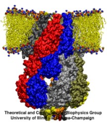 Large Scale Simulation of Membrane Proteins