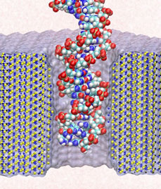 Threading DNA through nanopore