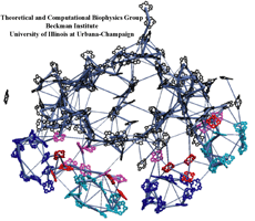 plant PSI energy transfer pathways