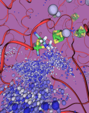 O2 gas diffusing to the hydrogenase active site