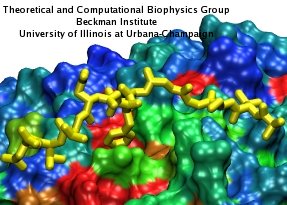 FG nucleoporin binding to importin-β