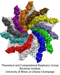 All-atom and coarse-grained models of the flagellum