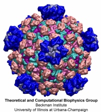 Coarse-grained model of the reovirus core