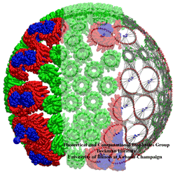 Atom level model of the chromatophore of the purple bacterium Rhodopseudomonas sphaeroides