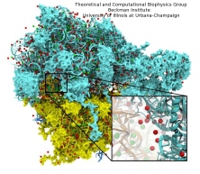 Placement of ions in the ribosome