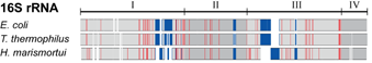 Distribution of Ribosomal Signatures in 90,000 Environmental Sequences