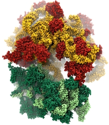 Protein in Implicit Solvent