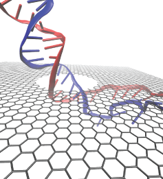 DNA translocation through graphene nanopore