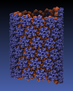 HIV virus capsid in its tubular form