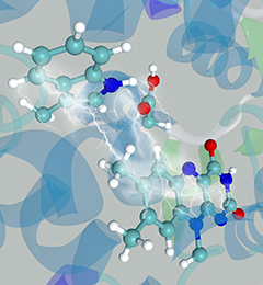 Electron transfer in cryptochrome