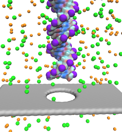 DNA graphene