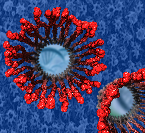 Structural model of nuclear pore complex.