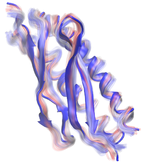 Proteasome