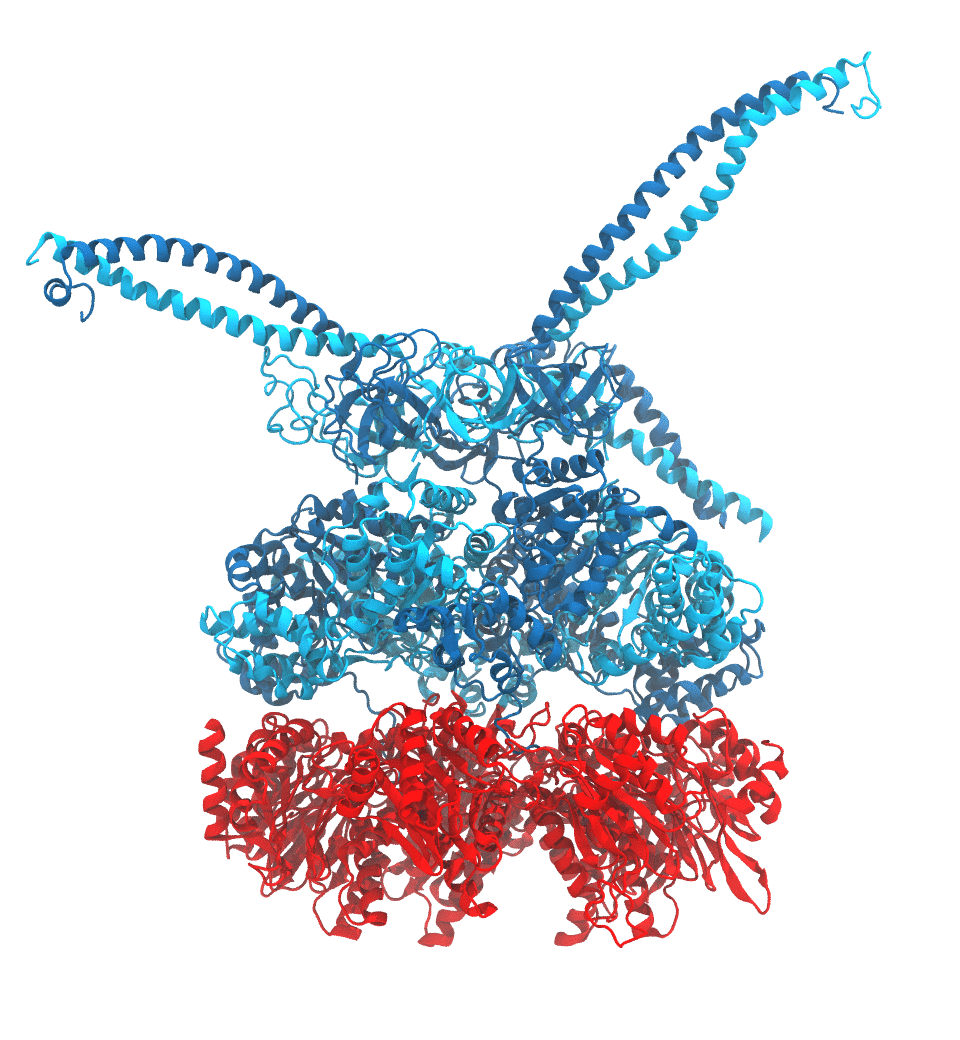 Proteasome Motor Action