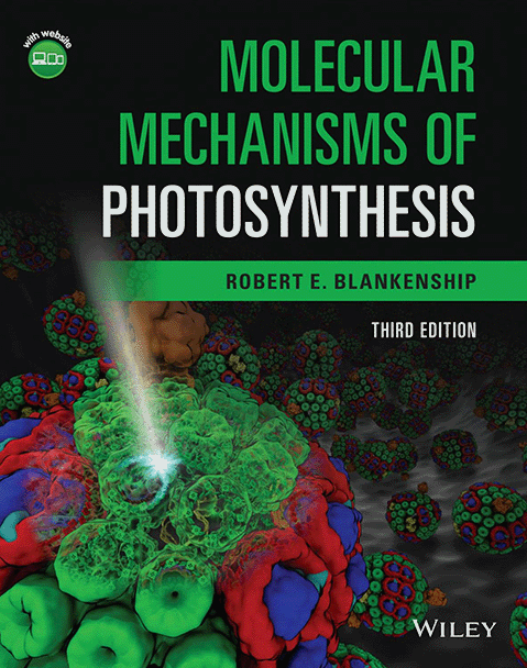 Molecular Mechanisms of Photosynthesis