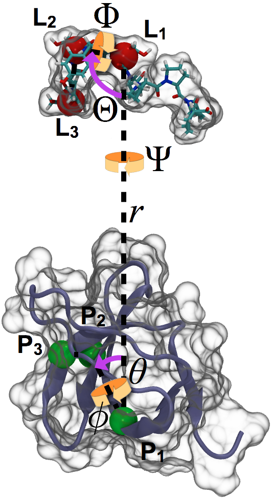Abl