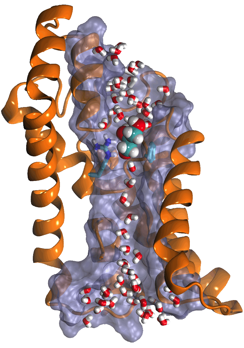 permeation