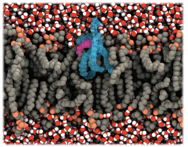 QMMM Membrane