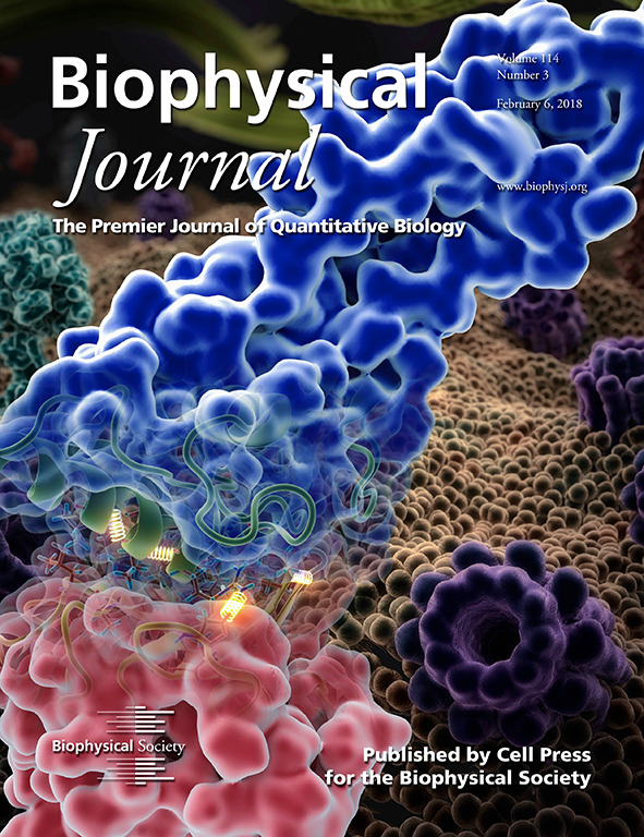 BiophysJ2018