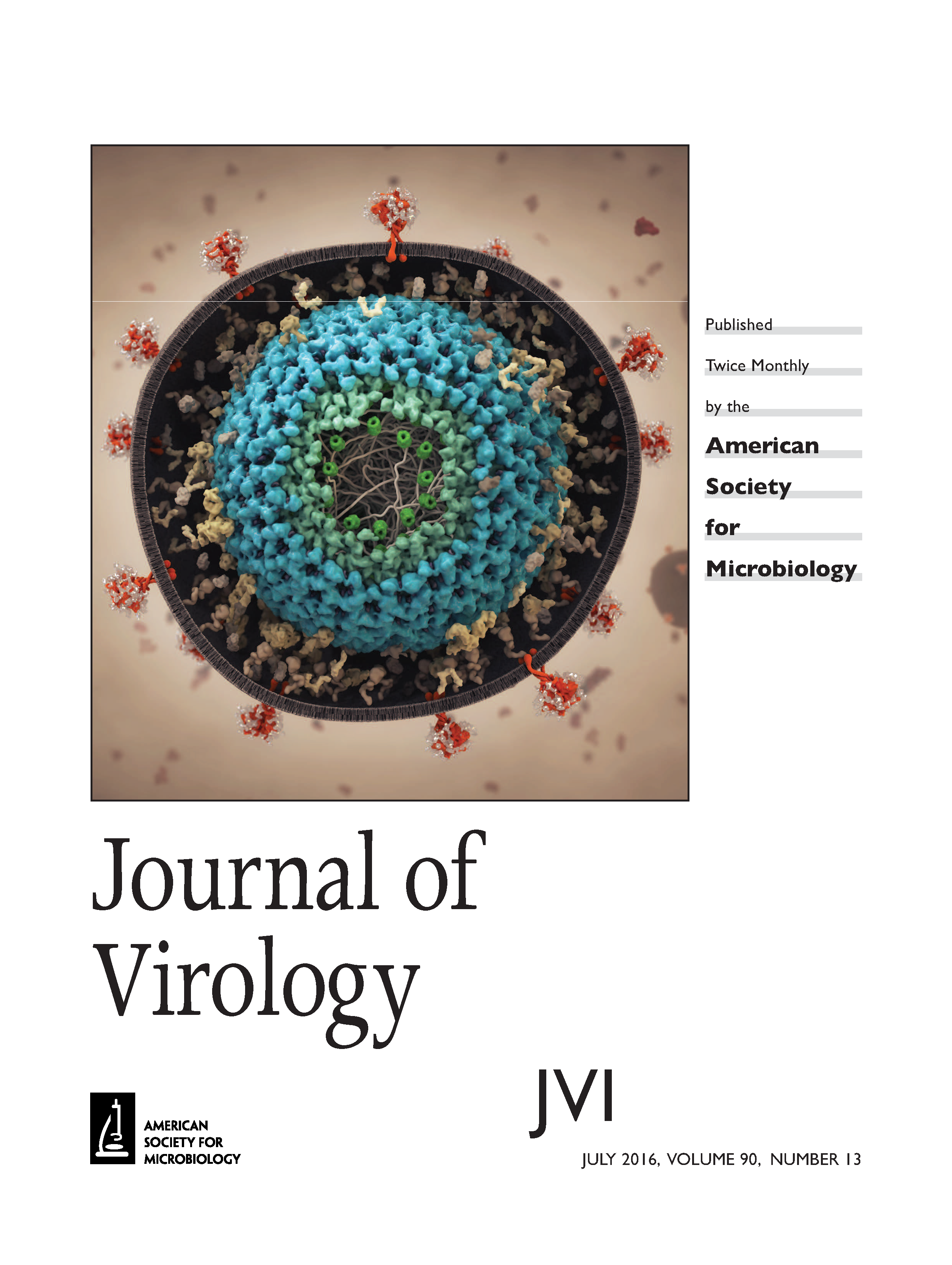 R virus. American Society of Microbiology. Virology. Brazilian Journal of Microbiology.