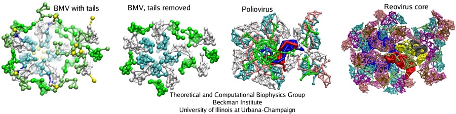 Interlocking of capsid protein tails